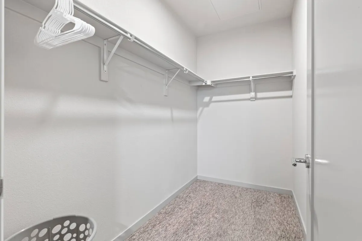 This photo shows a spacious, minimalistic walk-in closet with empty hanging rods, soft carpeting, and light-colored walls, evoking a sense of order and organization. The uncluttered space emphasizes ample storage.