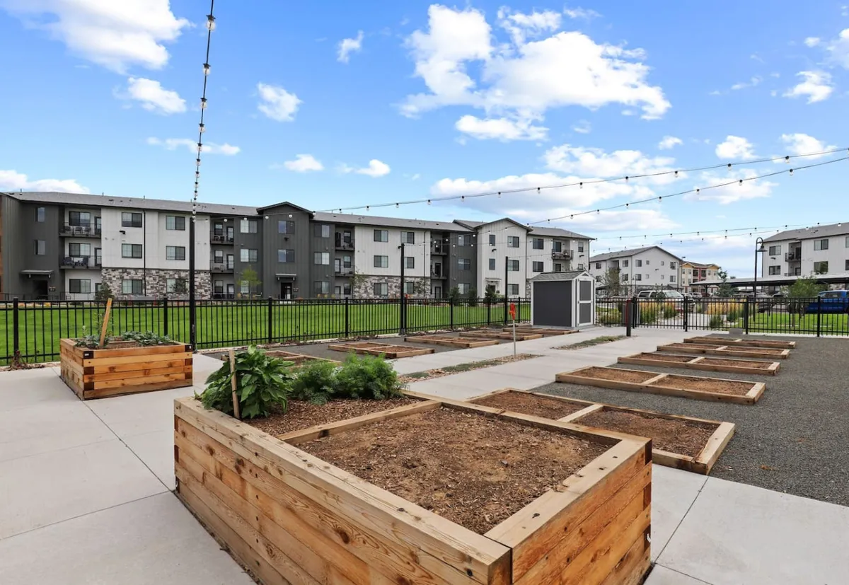 An exterior scene featuring raised garden beds adorned with string lights, a lush green lawn, and apartments in the background. The space is used for gardening, socializing, and relaxing outdoors, with a strong sense of community spirit. String lights and greenery provide a welcoming retreat within an urban setting.
