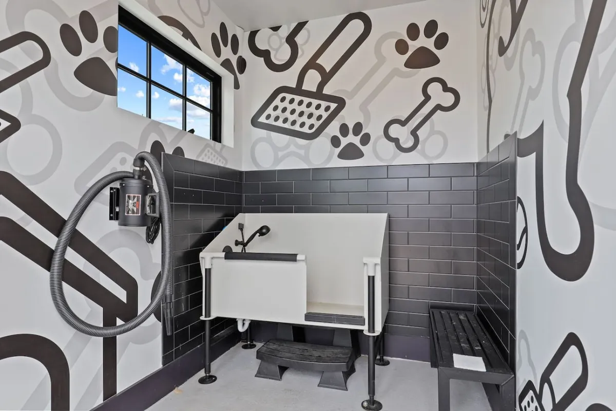A cheerful, well-lit pet spa interior with a modern dog washing station, a patterned accent wall, and natural light streaming through a window. The space is designed for pet care and bonding between owners and their pets.
